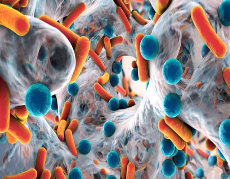 Pericolo germi in casa