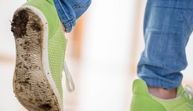 Quanti germi portiamo con le nostre scarpe in casa