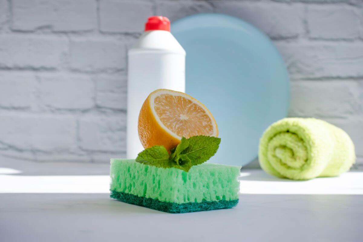 Spugna, limone