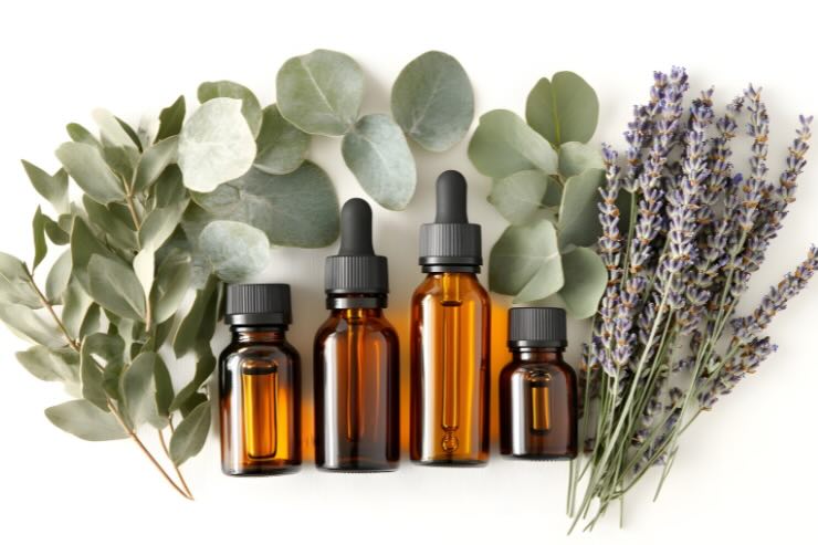 erbe e oli essenziali 