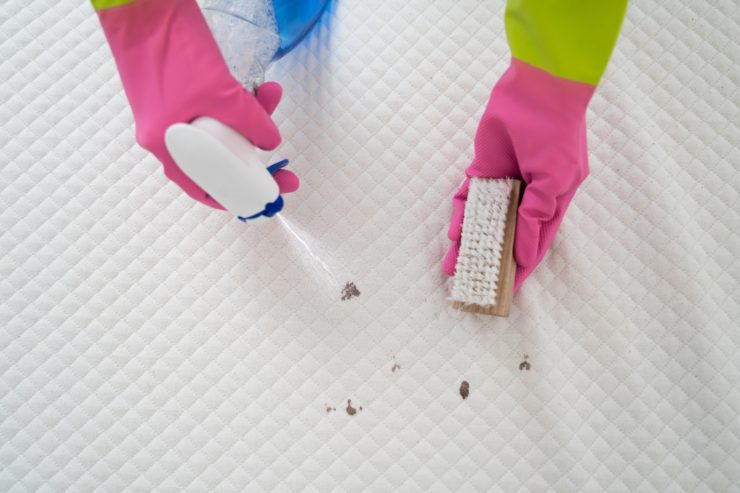 Persona che spruzza una miscela di aceto bianco, acqua e olio essenziale sul materasso