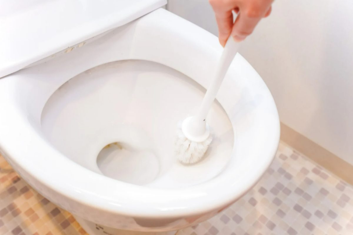 bagno puliiza scopino del Wc